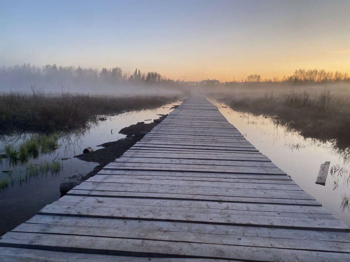 Boardwalk at dawn