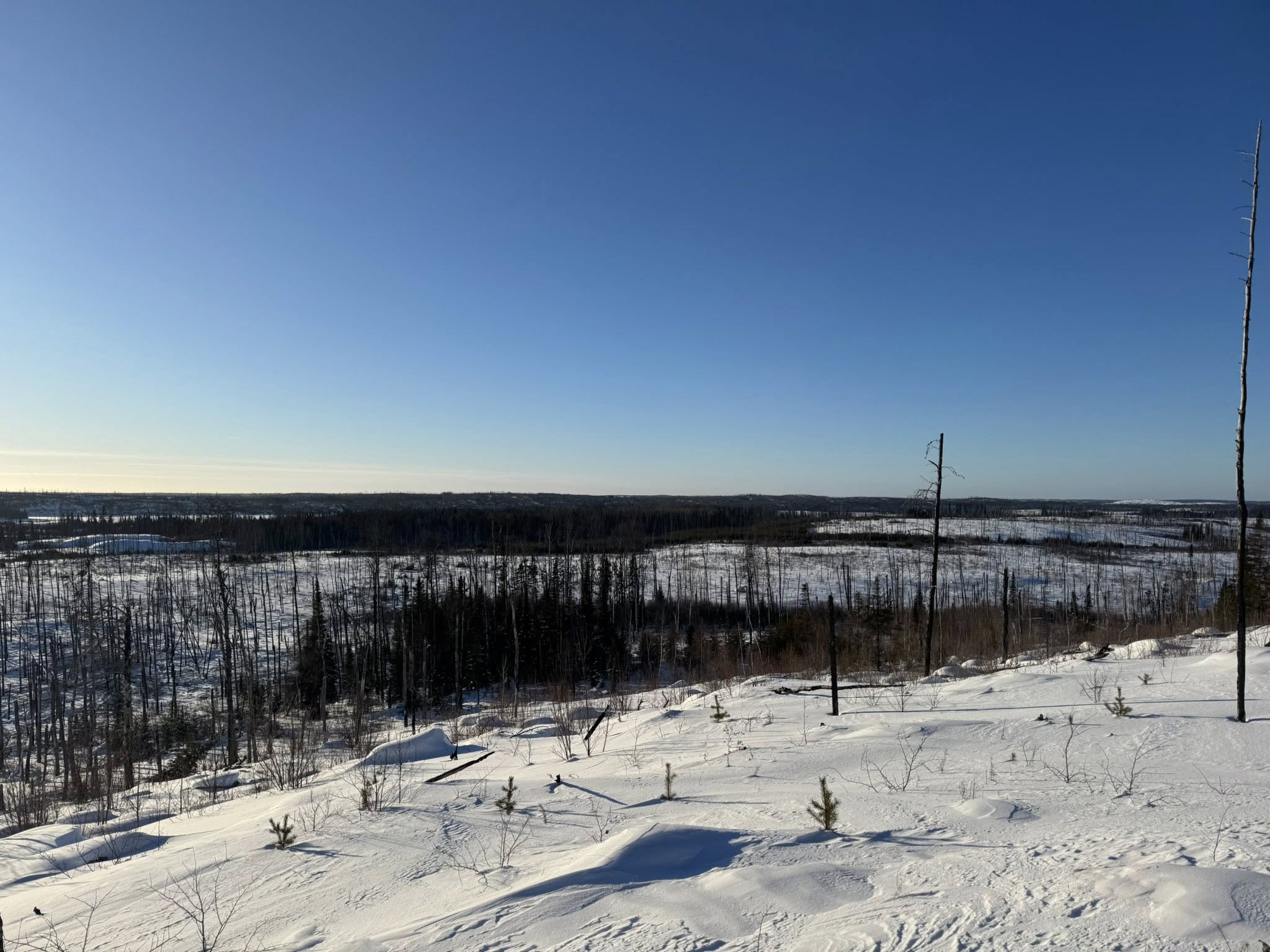 Moose hunting