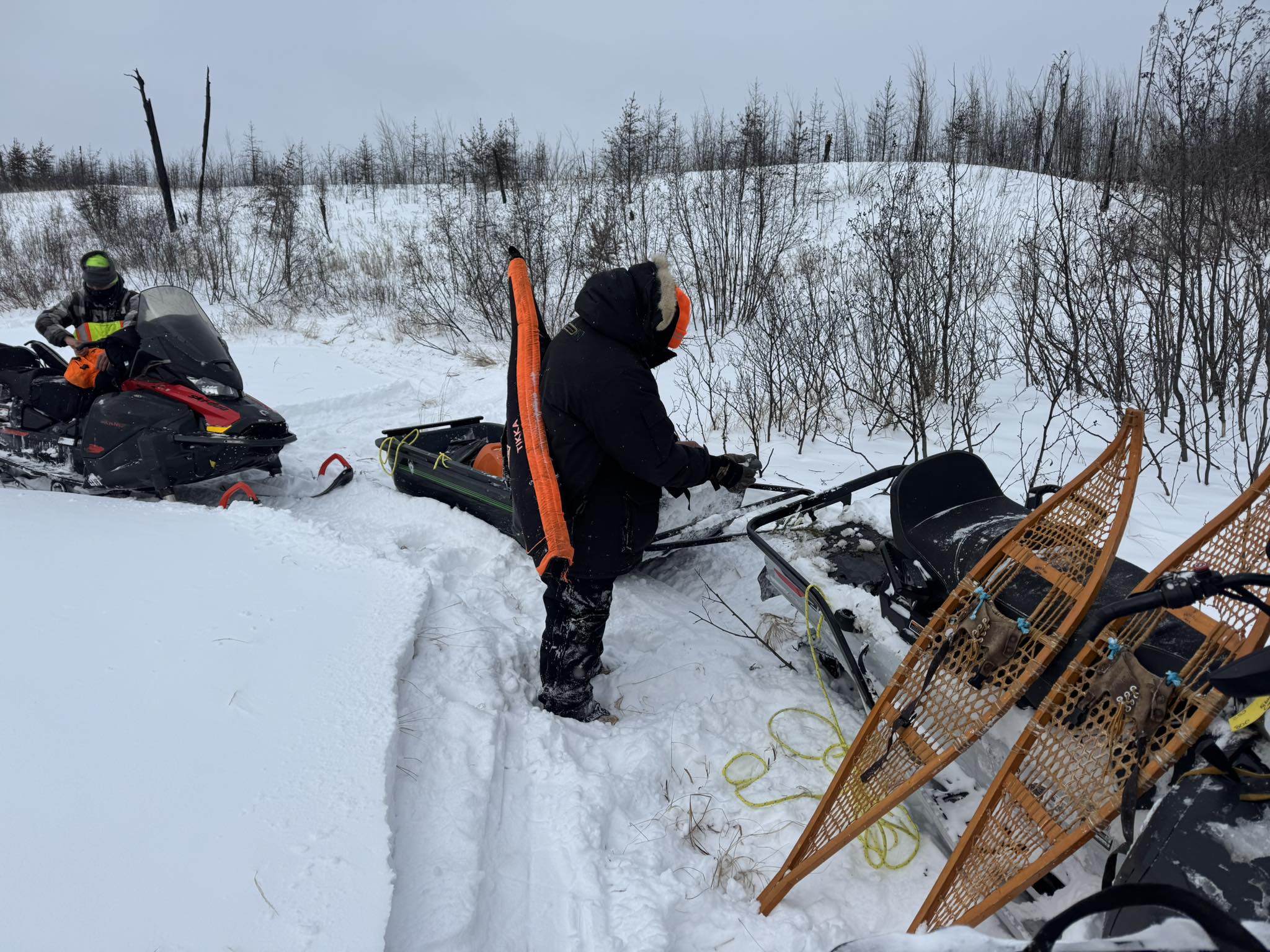 Snowshoe moose hunting
