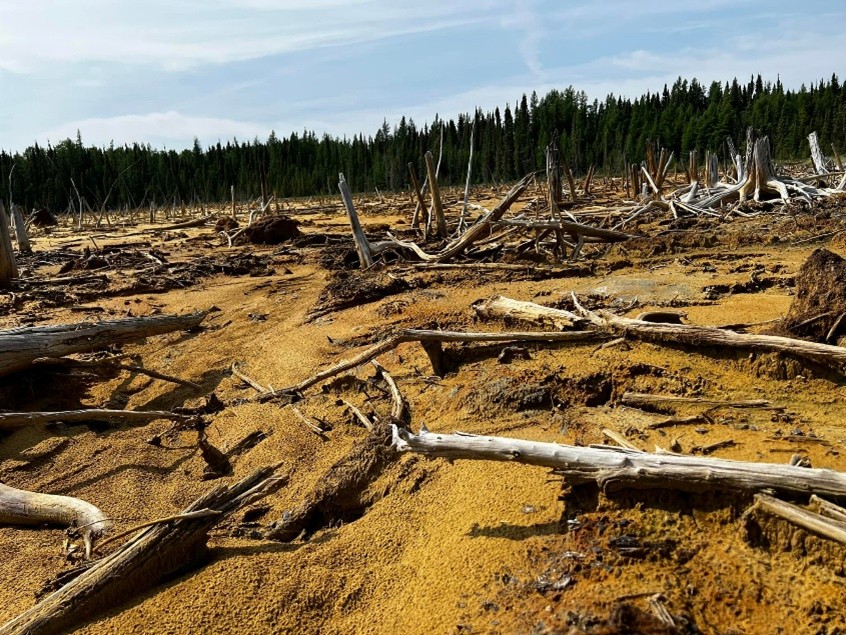 Favourable Lake mine site — orange tailings, dead and fallen trees, contaminated land